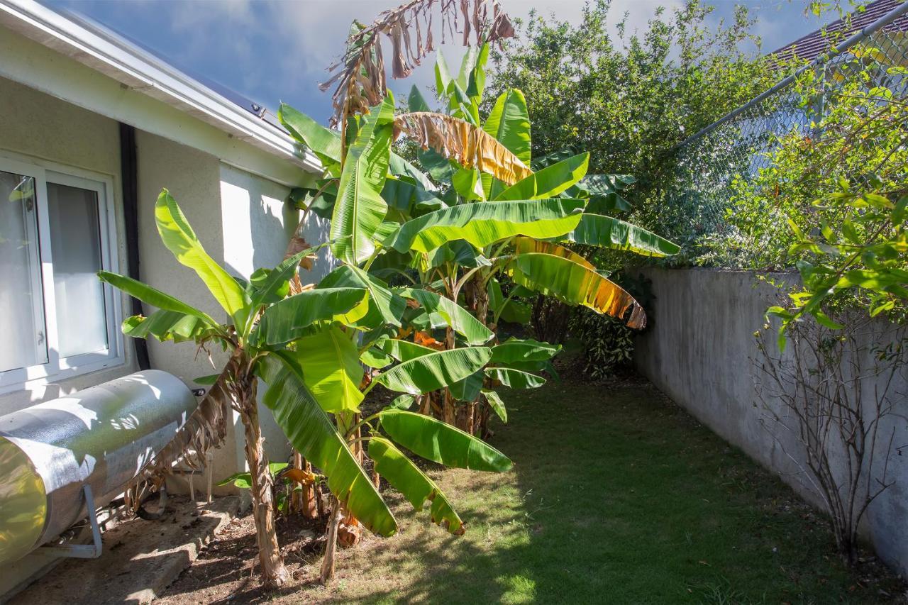 Nature'S Choice Home Richmond Palms, Jamaica エクステリア 写真
