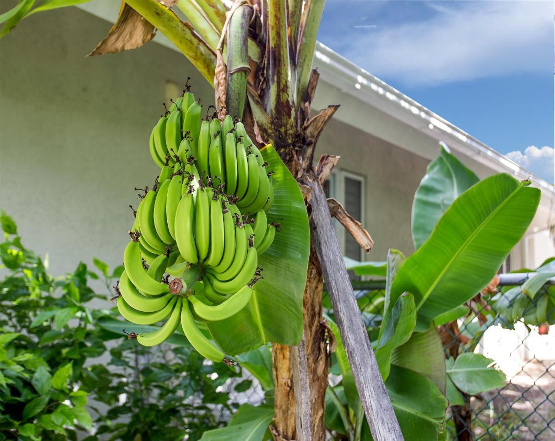 Nature'S Choice Home Richmond Palms, Jamaica エクステリア 写真